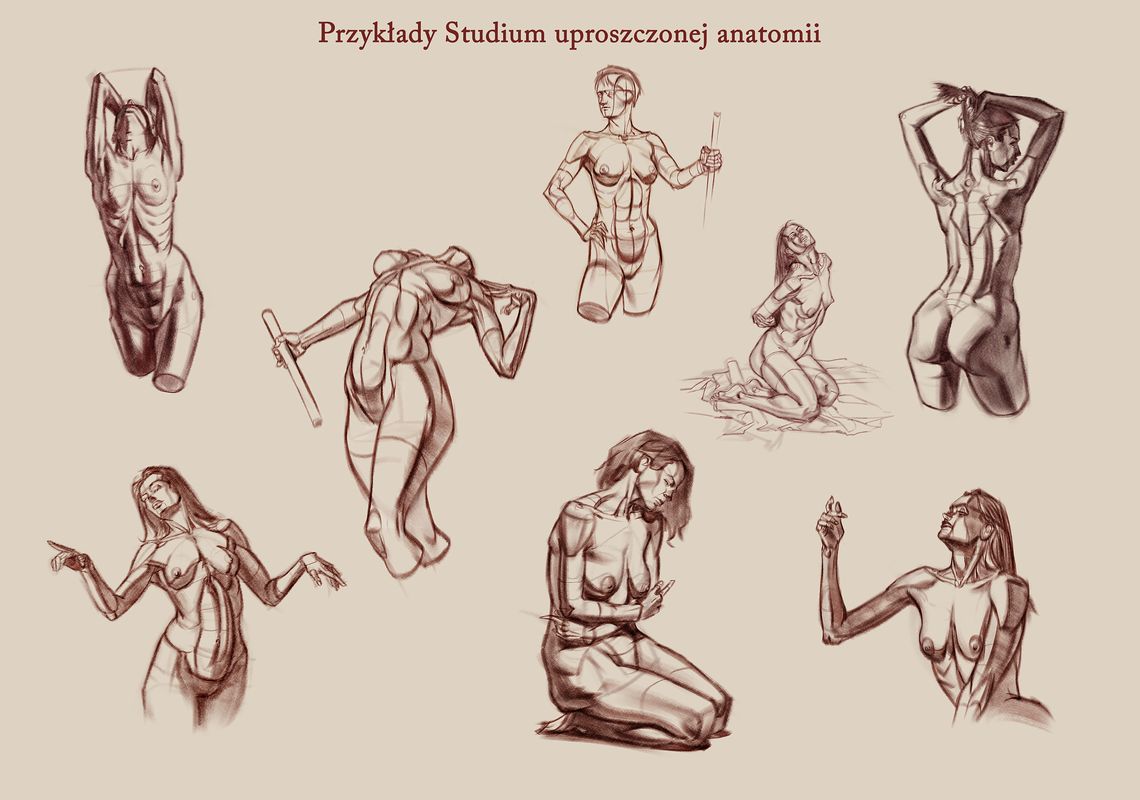 04 studium_02